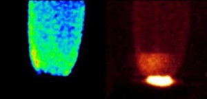 view Calcium changes/inositol phosphate in Drosophila development