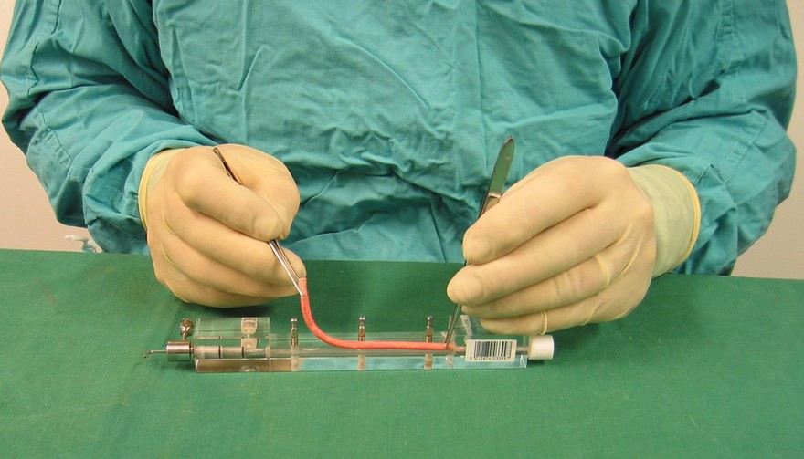 Bioengineering - simulated blood vessel in mould