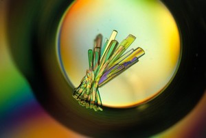 view Crystals of a DNA repair protein from Serratia marscescens bound to DNA. The crystals are grown in very small drops (approximatetly 1 microlitre) from very pure preparations so their structure can be determined by X-ray crystallography.