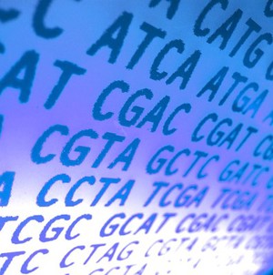 view DNA sequence