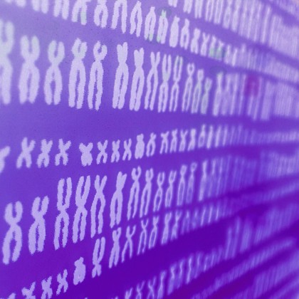 Chromosomes