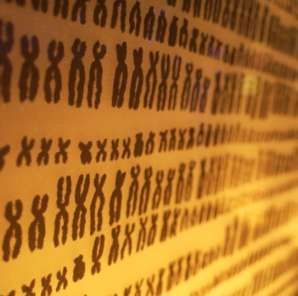 Chromosomes