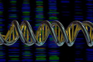 view DNA double helix and sequencing output