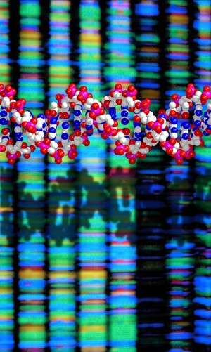 view DNA double helix and sequencing output