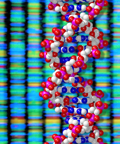 DNA double helix and sequencing output