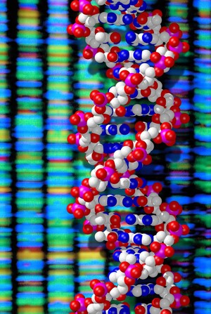 view DNA double helix and sequencing output