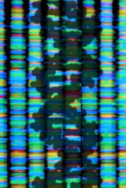 Shadow of a DNA double helix on sequencing output