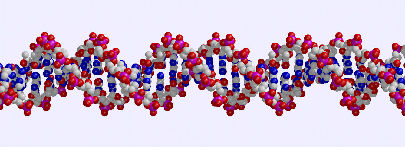 DNA double helix