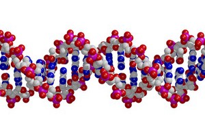 view DNA double helix