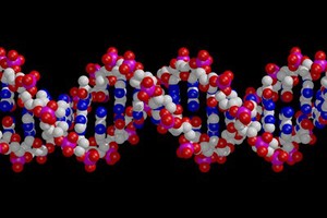 view DNA double helix