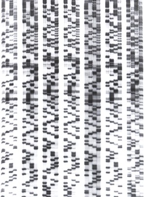 view DNA sequencing. This method of DNA sequencing is called di-deoxy sequencing. It is used to determine the order of bases (A,C,G and T) in a piece of DNA using radioactively-labelled modified nucleotides. They are then separated by electrophoresis in a polyacrylamide gel and detected on x-ray film by a process called autoradiography.