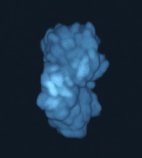 Human chromosomes in metaphase. The chromosomes are all aligned and at this stage they are attached to the spindle (not visible in this image).