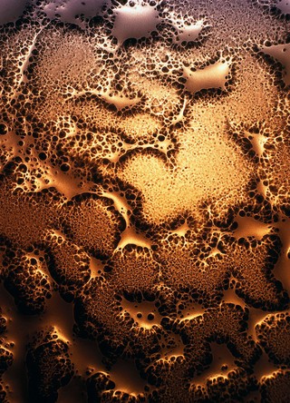 Organic forms