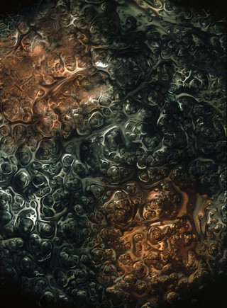Organic forms