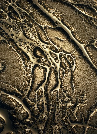 Organic forms