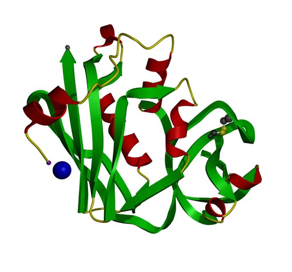 Staphylococcal enterotoxin A