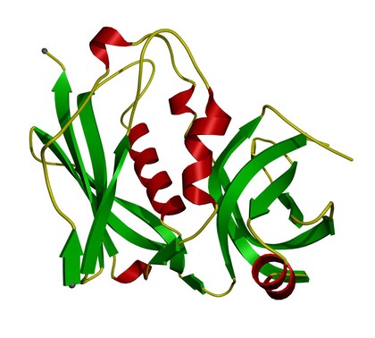 Staphylococcal enterotoxin B