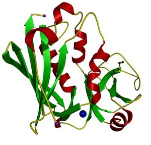 view Staphylococcal enterotoxin C2