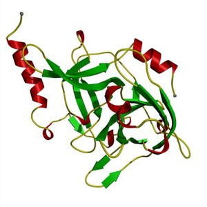 view Exfoliative toxin A