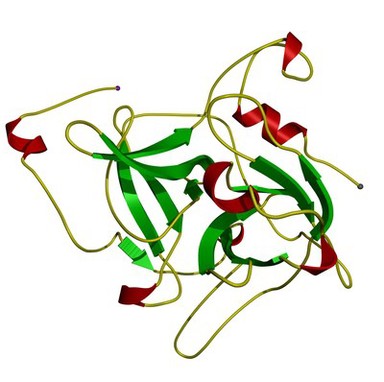 Exfoliative toxin B