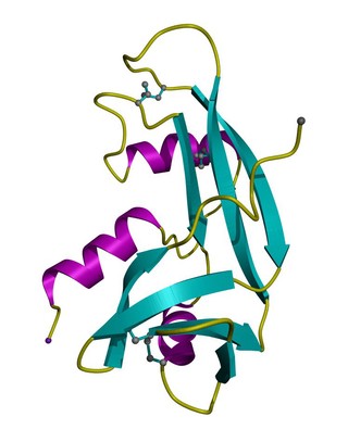Angiogenin