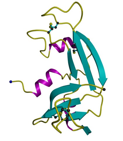 Ribonuclease A