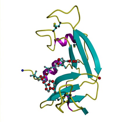 Ribonuclease A with bound inhibitor