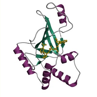 C3bot1 toxin from Clostridium botulinum