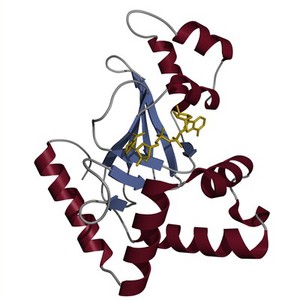 view C3stau toxin from Staphlococcus aureus