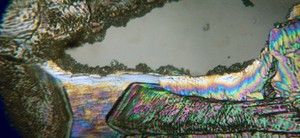 view Crystals of sulphanilamide