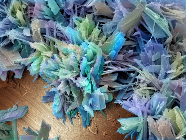 Aspirin crystals