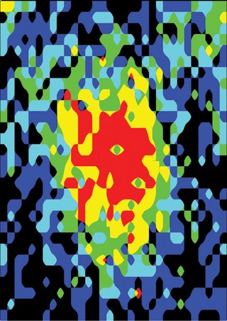 Visualising the molecular clock