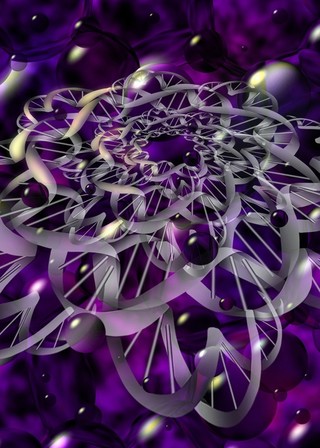 Spirals of DNA molecules