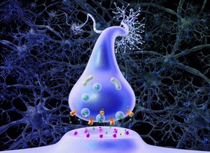 view Neurotransmitters