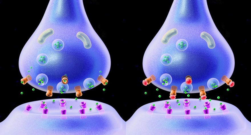 Neurotransmitters