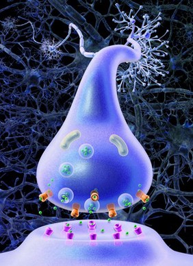 Neurotransmitters