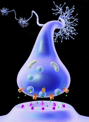 view Neurotransmitters