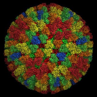 Bluetongue virus core particle