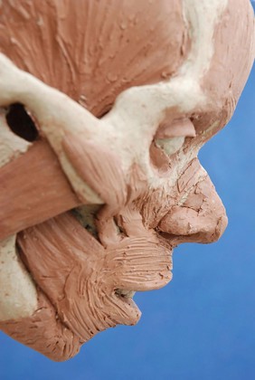 Face sculpture