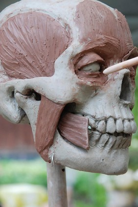 Skull sculpture