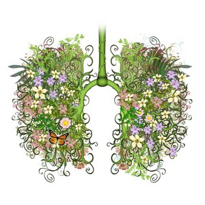 view Floral lungs