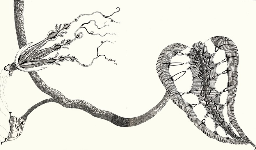 Fertility flower