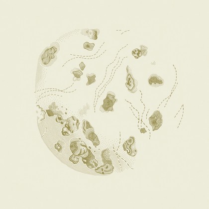 Haemophilus ducreyi