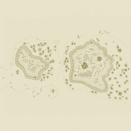 Testicular Cancer
