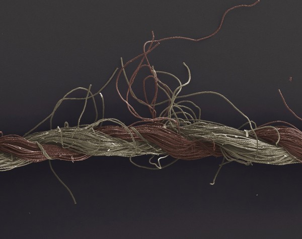 Cotton thread