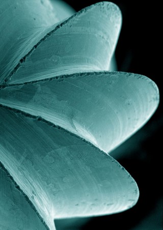 Dental bur