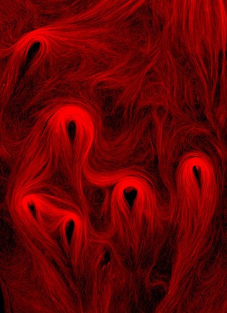 Microtubles in vitro