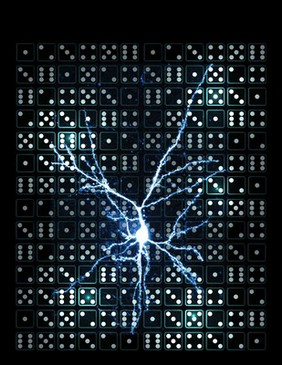 Pyramidal neuron