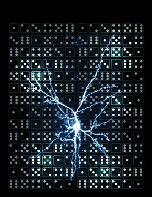 view Pyramidal neuron