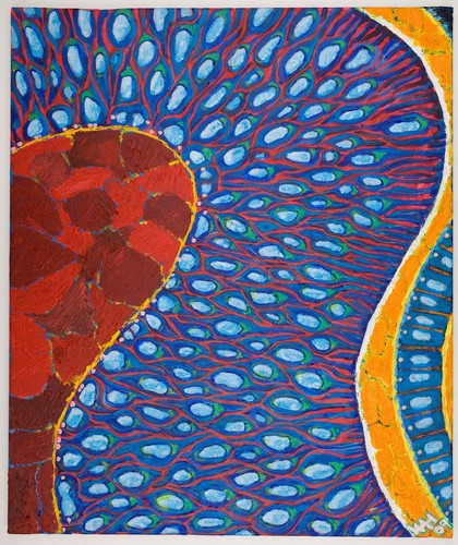 Neuroepithelium, the developing brain